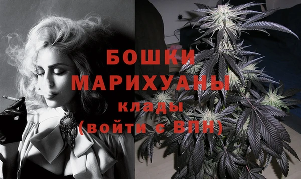 стаф Осинники