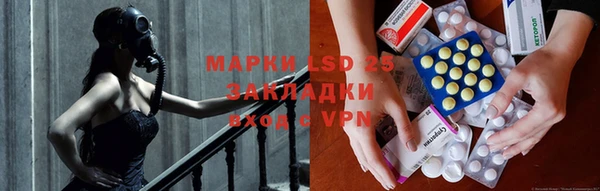 прущие крисы Ельня