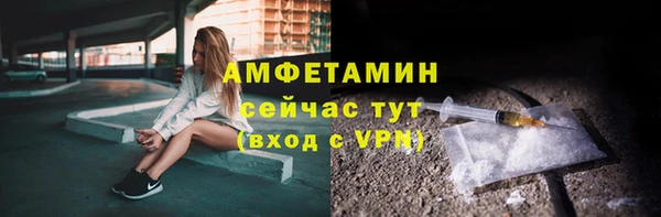 прущие крисы Ельня