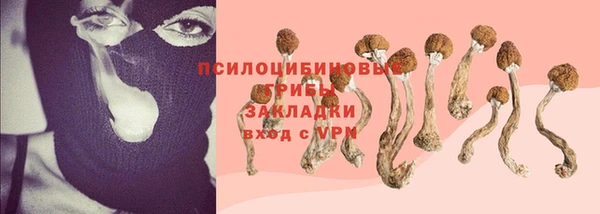 PSILOCYBIN Шарыпово