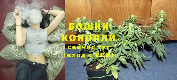 прущие крисы Ельня