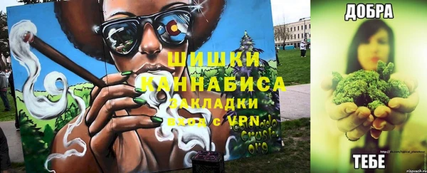 прущие крисы Ельня