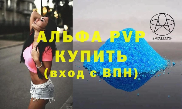 прущие крисы Ельня