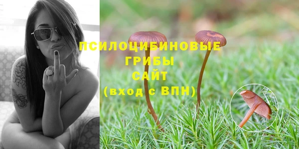 прущие крисы Ельня