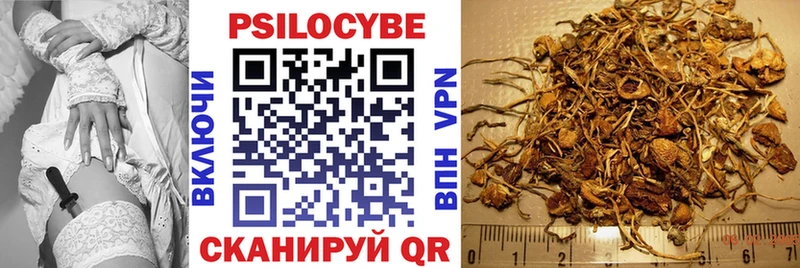Галлюциногенные грибы GOLDEN TEACHER  OMG зеркало  Давлеканово 